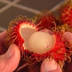 Thin Skinned Rambutan